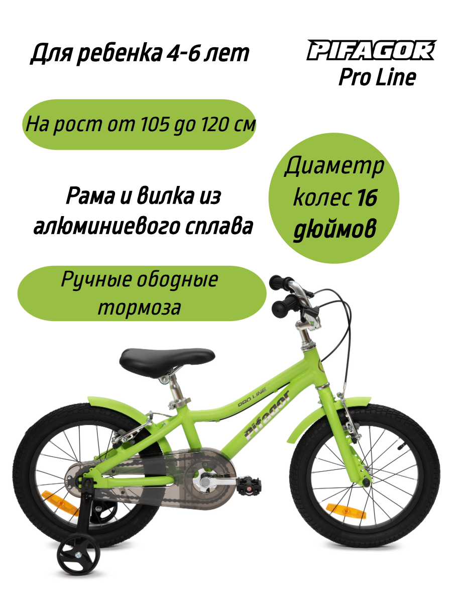 Велосипед Pifagor ProLine 1619 900 ₽Черный металлик, Светло-зеленый матовый в Москве и с доставкой